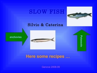 SLOW FISH Silvio & Caterina  Here some recipes …   Potassolo anchovies Genova 2008-09 