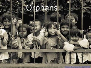 OrphansImage used under a CC license from http://www.flickr.com/photos/tormods/3841034148/
