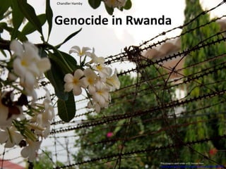 Genocide in Rwanda
Chandler Hamby
This image is used under a CC license from
http://www.flickr.com/photos/christianhaugen/3414884419/
 