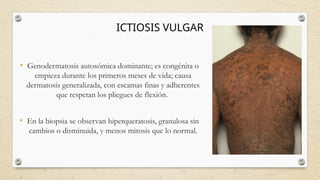 Genodermatosis Genodermatosis .pptxxxxxxxxxxxxxxxxxxxxx | PPTX