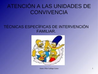 TÉCNICAS ESPECÍFICAS DE INTERVENCIÓN FAMILIAR. ATENCIÓN A LAS UNIDADES DE CONVIVENCIA 