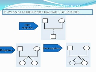 CONSTRUCCIÓN DE UN GENOGRAMA
   TRAZADO DE LA ESTRUCTURA FAMILIAR. CONEXIONES



                Hijos
              adoptivos




                          Homocigóticos
Dicigóticos
 