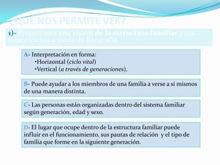 ¿QUÉ NOS PERMITE VER?
1)- Proporciona una visión de la estructura familiar y sus
interacciones a modo de fotografía.
    A- Interpretación en forma:
        •Horizontal (ciclo vital)
        •Vertical (a través de generaciones).

    B- Puede ayudar a los miembros de una familia a verse a sí mismos
    de una manera distinta.

    C- Las personas están organizadas dentro del sistema familiar
    según generación, edad y sexo.

    D- El lugar que ocupe dentro de la estructura familiar puede
    influir en el funcionamiento, sus pautas de relación y el tipo de
    familia que forme en la siguiente generación.
 