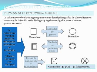 CONSTRUCCIÓN DE UN GENOGRAMA
TRAZADO DE LA ESTRUCTURA FAMILIAR.
La columna vertebral de un genograma es una descripción gráfica de cómo diferentes
miembros de la familia están biológica y legalmente ligados entre sí de una
generación a otra.

                                        Símbolos
    La
                                           de
estructura
                                         genero
 familiar                                                   Femenino
                       Masculino
 muestra
diferentes                               Símbolo
miembros                                    de
    de                                   persona
la familia                                índice
    en
 relación
 los unos           Fechas de
    con            nacimiento                 19

 los otros               y
                  fallecimiento          Nacimiento      43.62     fallecimiento.
 