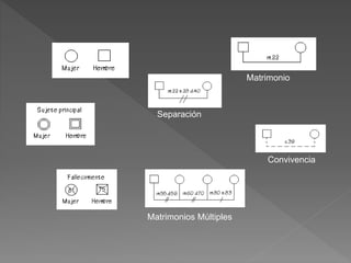 Convivencia
Matrimonio
Separación
Matrimonios Múltiples
 