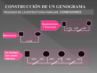 CONSTRUCCIÓN DE UN GENOGRAMA
TRAZADO DE LA ESTRUCTURA FAMILIAR. CONEXIONES
m.48
m 22. s28. d40
M55 .d59. m60. d70. m80. d83
Matrimonio
Un hombre
con varias
esposas
Separaciones
Y divorcios
 
