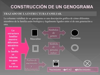 TRAZADO DE LA ESTRUCTURA FAMILIAR.
La columna vertebral de un genograma es una descripción gráfica de cómo diferentes
miembros de la familia están biológica y legalmente ligados entre sí de una generación a
otra.
Símbolos
de
genero
Símbolo
de
persona
índice
La
estructura
familiar
muestra
diferentes
miembros
de
la familia
en
relación
los unos
con
los otros
Fechas de
nacimiento
y
fallecimiento Nacimiento 43.62 fallecimiento.
Masculino Femenino
19
 