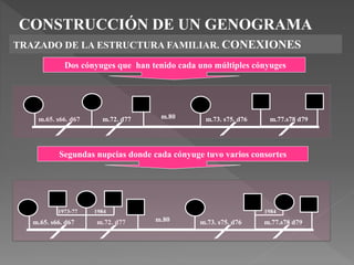 CONSTRUCCIÓN DE UN GENOGRAMA
TRAZADO DE LA ESTRUCTURA FAMILIAR. CONEXIONES
m.65. s66. d67 m.72. d77 m.80 m.73. s75. d76 m.77.s78 d79
m.72. d77
m.65. s66. d67 m.80 m.73. s75. d76 m.77.s78 d79
1984
1984
1973-77
Dos cónyuges que han tenido cada uno múltiples cónyuges
Segundas nupcias donde cada cónyuge tuvo varios consortes
 