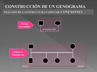 CONSTRUCCIÓN DE UN GENOGRAMA
TRAZADO DE LA ESTRUCTURA FAMILIAR. CONEXIONES
Se conocieron 1981
Pareja
no casada
Orden de
Nacimiento
mayor menor
 