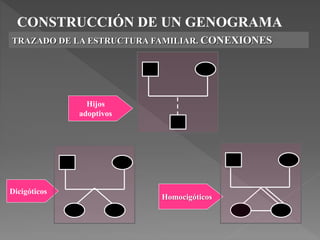 CONSTRUCCIÓN DE UN GENOGRAMA
TRAZADO DE LA ESTRUCTURA FAMILIAR. CONEXIONES
Dicigóticos
Homocigóticos
Hijos
adoptivos
 