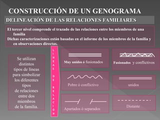 CONSTRUCCIÓN DE UN GENOGRAMA
DELINEACIÓN DE LAS RELACIONES FAMILIARES
El tercer nivel comprende el trazado de las relaciones entre los miembros de una
familia
Dichas caracterizaciones están basadas en el informe de los miembros de la familia y
en observaciones directas.
L
I
N
E
A
S
D
E
R
E
L
A
C
I
Ó
N
Muy unidos ó fusionados
Distante
Apartados ó separados
unidos
Fusionados y conflictivos
Pobre ó conflictivo
Se utilizan
distintos
tipos de líneas
para simbolizar
los diferentes
tipos
de relaciones
entre dos
miembros
de la familia.
 