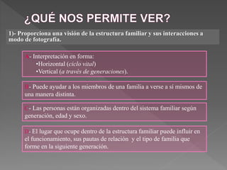 1)- Proporciona una visión de la estructura familiar y sus interacciones a
modo de fotografía.
A- Interpretación en forma:
•Horizontal (ciclo vital)
•Vertical (a través de generaciones).
B- Puede ayudar a los miembros de una familia a verse a sí mismos de
una manera distinta.
C- Las personas están organizadas dentro del sistema familiar según
generación, edad y sexo.
D- El lugar que ocupe dentro de la estructura familiar puede influir en
el funcionamiento, sus pautas de relación y el tipo de familia que
forme en la siguiente generación.
 
