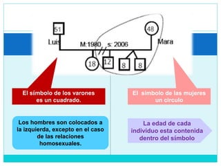 El símbolo de los varones
es un cuadrado.
El simbolo de las mujeres
un circulo
Los hombres son colocados a
la izquierda, excepto en el caso
de las relaciones
homosexuales.
La edad de cada
individuo esta contenida
dentro del símbolo
 