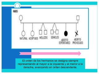 El orden de los hermanos se designa siempre
representando al mayor a la izquierda y al menor a la
derecha, avanzando en orden descendente.
 