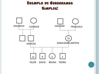 EXEMPLO DE GENOGRAMAS
      SIMPLES:
 
