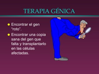 TERAPIA GÉNICA Encontrar el gen “roto”. Encontrar una copia sana del gen que falta y transplantarlo en las células afectadas. 
