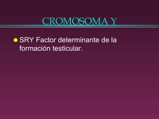 CROMOSOMA Y SRY Factor determinante de la formación testicular. 