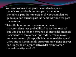 En el cromosoma Y los genes acumulan lo que es
beneficios para los hombres, pero a menudo
perjudicial para las mujeres; en el X se acumulan los
genes que son buenos para las hembras y nocivos para
los varones.
*Dato: Un hombre con uno o mas hermanos
mayores, tiene mas probabilidad se ser homosexual
que uno que no tenga hermanos, el efecto del orden de
nacimiento es tan intenso que cada hermano mayor
aumenta en un 33% la posibilidad esto, se debe que el
útero que ya ha contenido otros varones y tiene que ver
con un grupo de 3 genes activos del cromosoma Y
llamados antígenos H-Y.
 
