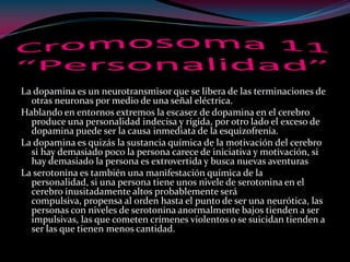 La dopamina es un neurotransmisor que se libera de las terminaciones de
otras neuronas por medio de una señal eléctrica.
Hablando en entornos extremos la escasez de dopamina en el cerebro
produce una personalidad indecisa y rígida, por otro lado el exceso de
dopamina puede ser la causa inmediata de la esquizofrenia.
La dopamina es quizás la sustancia química de la motivación del cerebro
si hay demasiado poco la persona carece de iniciativa y motivación, si
hay demasiado la persona es extrovertida y busca nuevas aventuras
La serotonina es también una manifestación química de la
personalidad, si una persona tiene unos nivele de serotonina en el
cerebro inusitadamente altos probablemente será
compulsiva, propensa al orden hasta el punto de ser una neurótica, las
personas con niveles de serotonina anormalmente bajos tienden a ser
impulsivas, las que cometen crímenes violentos o se suicidan tienden a
ser las que tienen menos cantidad.
 