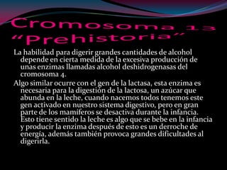 La habilidad para digerir grandes cantidades de alcohol
depende en cierta medida de la excesiva producción de
unas enzimas llamadas alcohol deshidrogenasas del
cromosoma 4.
Algo similar ocurre con el gen de la lactasa, esta enzima es
necesaria para la digestión de la lactosa, un azúcar que
abunda en la leche, cuando nacemos todos tenemos este
gen activado en nuestro sistema digestivo, pero en gran
parte de los mamíferos se desactiva durante la infancia.
Esto tiene sentido la leche es algo que se bebe en la infancia
y producir la enzima después de esto es un derroche de
energía, además también provoca grandes dificultades al
digerirla.
 
