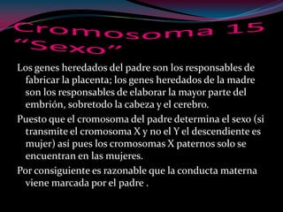 Los genes heredados del padre son los responsables de
fabricar la placenta; los genes heredados de la madre
son los responsables de elaborar la mayor parte del
embrión, sobretodo la cabeza y el cerebro.
Puesto que el cromosoma del padre determina el sexo (si
transmite el cromosoma X y no el Y el descendiente es
mujer) así pues los cromosomas X paternos solo se
encuentran en las mujeres.
Por consiguiente es razonable que la conducta materna
viene marcada por el padre .
 