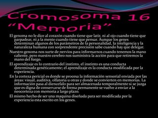 El genoma no le dice al corazón cuando tiene que latir, ni al ojo cuando tiene que
parpadear, ni a la mente cuando tiene que pensar. Aunque los genes
determinan algunos de los parámetros de la personalidad, la inteligencia y la
naturaleza humana con sorprendente precisión sabe cuando hay que delegar.
Nuestro genoma nos surte de nervios para informarnos cuando tenemos la mano
caliente, pero nuestro cerebro nos suministra la acción para que retiremos la
mano del fuego.
El aprendizaje es lo contrario del instinto, el instinto es una conducta
determinada genéticamente; el aprendizaje es la conducta modificada por la
experiencia.
En la corteza pericial es donde se procesa la información sensorial enviada por las
áreas: visual, auditiva, olfatoria u otras y donde se convierten en memorias. La
información pasa al diencefalo para ser almacenada temporalmente si se juzga
que es digna de conservarse de forma permanente se vuelve a enviar a la
neocorteza con memoria a largo plazo.
El mismo hecho de ser una maquina diseñada para ser modificada por la
experiencia esta escrito en los genes.
 