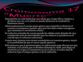 Diariamente en cada tejido hay una célula que rompe filas y empieza a
dividirse otra ves, si la célula no puede detenerse al resultado lo
llamamos cáncer.
Afortunadamente el cuerpo posee genes cuyo cometido es detectar el
excesivo crecimiento y pararlo, pero por otro lado existen oncogenes
que estimulan el crecimiento celular.
En todos los animales de cuerpo grande las células están dotadas de una
complicada serie de interruptores que las inducen a suicidarse en el
caso de que se volvieran cancerosas.
Cuanto mas vivamos mas errores acumulamos en nuestros genes y mayor
es la posibilidad de que el cáncer pueda aparecer.
Solía pensarse que la quimioterapia y la radioterapia eran eficaces por que
mataban a las células que se dividían dañando su ADN, pero llega un
momento en el que el tratamiento ya no es eficaz; el tumor deja de
reducirse bajo el ataque químico o de la radiación.
 