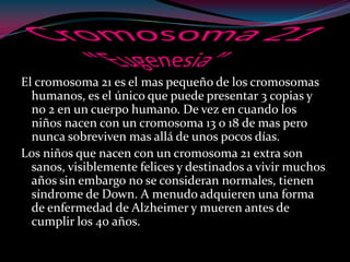 El cromosoma 21 es el mas pequeño de los cromosomas
humanos, es el único que puede presentar 3 copias y
no 2 en un cuerpo humano. De vez en cuando los
niños nacen con un cromosoma 13 o 18 de mas pero
nunca sobreviven mas allá de unos pocos días.
Los niños que nacen con un cromosoma 21 extra son
sanos, visiblemente felices y destinados a vivir muchos
años sin embargo no se consideran normales, tienen
síndrome de Down. A menudo adquieren una forma
de enfermedad de Alzheimer y mueren antes de
cumplir los 40 años.
 