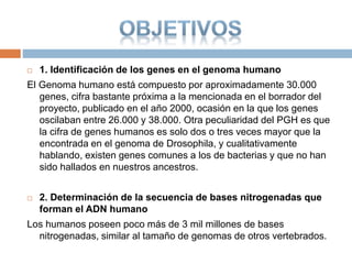  1. Identificación de los genes en el genoma humano
El Genoma humano está compuesto por aproximadamente 30.000
genes, cifra bastante próxima a la mencionada en el borrador del
proyecto, publicado en el año 2000, ocasión en la que los genes
oscilaban entre 26.000 y 38.000. Otra peculiaridad del PGH es que
la cifra de genes humanos es solo dos o tres veces mayor que la
encontrada en el genoma de Drosophila, y cualitativamente
hablando, existen genes comunes a los de bacterias y que no han
sido hallados en nuestros ancestros.
 2. Determinación de la secuencia de bases nitrogenadas que
forman el ADN humano
Los humanos poseen poco más de 3 mil millones de bases
nitrogenadas, similar al tamaño de genomas de otros vertebrados.
 