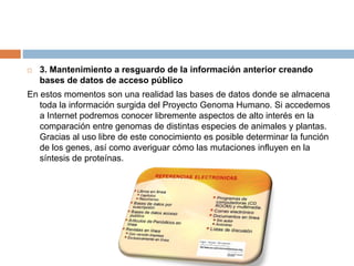  3. Mantenimiento a resguardo de la información anterior creando
bases de datos de acceso público
En estos momentos son una realidad las bases de datos donde se almacena
toda la información surgida del Proyecto Genoma Humano. Si accedemos
a Internet podremos conocer libremente aspectos de alto interés en la
comparación entre genomas de distintas especies de animales y plantas.
Gracias al uso libre de este conocimiento es posible determinar la función
de los genes, así como averiguar cómo las mutaciones influyen en la
síntesis de proteínas.
 