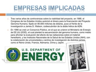  Tras varios años de controversias sobre la viabilidad del proyecto, en 1988, el
Congreso de los Estados Unidos autorizó el dinero para la financiación del Proyecto
Genoma Humano, fijado en 90.000 millones de dólares, puso al frente de la
investigación a James D. Watson, codescubridor de la doble hélice de ADN.
 En 1990 se creó un Consorcio Público, en el que se unieron el Ministerio de Energía
de EE.UU (DOE), el cual planteó la secuenciación del genoma humano, como medio
para afrontar la evaluación del efecto de las radiaciones sobre el material
hereditario, y los Institutos Nacionales de la Salud de los Estados Unidos (NHI), con
la colaboración de universidades y centros de investigación de distintos países,
como el Reino Unido, Francia, Alemania, China y Japón.
 