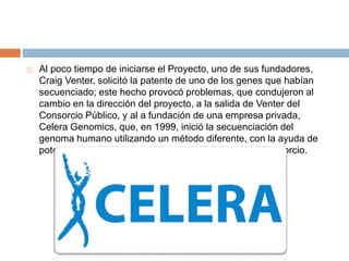  Al poco tiempo de iniciarse el Proyecto, uno de sus fundadores,
Craig Venter, solicitó la patente de uno de los genes que habían
secuenciado; este hecho provocó problemas, que condujeron al
cambio en la dirección del proyecto, a la salida de Venter del
Consorcio Público, y al a fundación de una empresa privada,
Celera Genomics, que, en 1999, inició la secuenciación del
genoma humano utilizando un método diferente, con la ayuda de
potentes ordenadores, y de forma independiente al Consorcio.
 