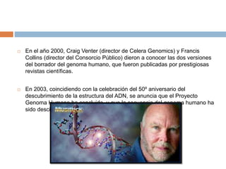  En el año 2000, Craig Venter (director de Celera Genomics) y Francis
Collins (director del Consorcio Público) dieron a conocer las dos versiones
del borrador del genoma humano, que fueron publicadas por prestigiosas
revistas científicas.
 En 2003, coincidiendo con la celebración del 50º aniversario del
descubrimiento de la estructura del ADN, se anuncia que el Proyecto
Genoma Humano ha concluido, y que la secuencia del genoma humano ha
sido descifrada completamente.
 