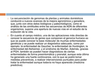  La secuenciación de genomas de plantas y animales domésticos
conducirá a nuevos avances de la mejora agronómica y ganadera,
que, junto con otros datos biológicos y paleontológicos, como el
análisis de las similitudes entre las secuencias de ADN de diferentes
organismos, supone una apertura de nuevas vías en el estudio de la
evolución de la vida.
 En cuanto al campo médico, una de las aplicaciones más directas de
conocer la secuencia de genes que componen el genoma humano es
que se puede conocer la base molecular de muchas enfermedades
genéticas y se puede realizar un diagnóstico adecuado, como por
ejemplo: la enfermedad de Gaucher, la enfermedad de Huntington, la
enfermedad del Alzheimer, y el síndrome de Marfan. Además, gracias
al PGH, también se pueden hacer diagnósticos de ciertas
enfermedades de forma presintomática y prenatal, aunque esta última
ha generado una fuerte controversia, con lo que se podrá tomar
medidas preventivas, o realizar intervenciones puntuales para poder
tratar la enfermedad aunque todavía no haya aparecido (medicina
predictiva).
 