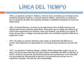  1953. Los doctores James D. Watson y Francis Crick, animados por el trabajo de los
científicos Rosalind Franklin y el doctor Maurice Wilkins, discernieron la estructura
de una molécula de ADN: dos cadenas de bases nucleótidas enlazadas en forma de
doble hélice.
 1961. El doctor Brenner y el doctor Crick determinan cómo el ADN instruye a las
células para formar proteínas específicas. Descubren que el código que utiliza es el
mismo para organismos tan diversos como una bacteria, una planta o un animal. El
hecho de que sea un código universal permitirá a los científicos transferir ADN de un
organismo a otro.
 1973. Se utiliza un enzima restrictivo para cortar un fragmento del ADN de un
animal. Este fragmento es depositado en una bacteria que transporta la función del
gen.
 1977. Los doctores Frederick Sanger y Walter Gilbert desarrollan (cada uno por su
lado) una técnica para descifrar las cuatro bases nucleótidas del ADN: la adenina, la
timina, citosina y la guanina. Esta técnica permite que aumente por mil la velocidad
a la que puede ser secuenciado el genoma. Se secuencia por primera vez un
organismo completo. Se trata del virus bacteriófago.
 