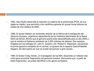  1983. Kary Mullis desarrolla la reacción en cadena de la polimerasa (PCR, de sus
siglas en inglés), que permitirá a los científicos generar en pocas horas billones de
copias de una cadena de ADN.
 1988. El doctor Watson es nombrado director de la Oficina de Investigación del
Genoma Humano, organismo dependiente de los Institutos Nacionales de la Salud
(NIH) de EEUU. Afirma que el genoma podrá estar descodificado para el año 2005 y
que le costará al Gobierno alrededor de 3.000 millones de dólares. Dos equipos,
dirigidos por los biólogos Dr. John E. Sulston y Dr. Robert H. Waterston, secuencian
el primer genoma completo de un animal, un gusano de la especie Caenorhabditis
elegans. Se demuestra así que se puede secuenciar a gran escala.
 1990. El doctor Craig Venter, un investigador de los NIH, desarrolla un método más
corto para encontrar fragmentos del genoma humano. Demuestra que, a partir de
estos fragmentos, se puede identificar a los genes completos.
 