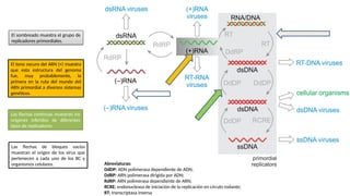 Genoma: defición y tamaño del genoma.pptx