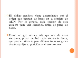  El código genético viene determinado por el
orden que ocupan las bases en la escalera de
ADN. Por lo general, cada sección de esta
escalera tiene una secuencia única de pares de
bases.
 Como un gen no es más que una de estas
secciones, posee también una secuencia única,
que puede utilizarse para diferenciar unos genes
de otros y fijar su posición en el cromosoma.
 
