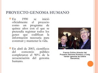 PROYECTO GENOMA HUMANO
 En 1990 se inició
oficialmente el proyecto
como un programa de
quince años con el que se
pretendía registrar todos los
genes que codifican la
información necesaria para
construir y mantener la vida.
 En abril de 2003, científicos
del consorcio público
completaron el 90% de la
secuenciación del genoma
humano.
Francis Collins (director del
Proyecto Genoma Humano) y Craig
Venter (gerente de Celera
Genomics)
 