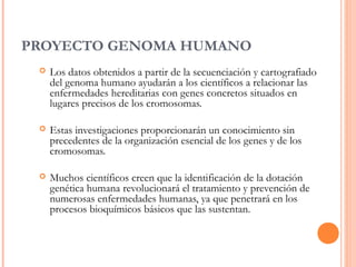 PROYECTO GENOMA HUMANO
 Los datos obtenidos a partir de la secuenciación y cartografiado
del genoma humano ayudarán a los científicos a relacionar las
enfermedades hereditarias con genes concretos situados en
lugares precisos de los cromosomas.
 Estas investigaciones proporcionarán un conocimiento sin
precedentes de la organización esencial de los genes y de los
cromosomas.
 Muchos científicos creen que la identificación de la dotación
genética humana revolucionará el tratamiento y prevención de
numerosas enfermedades humanas, ya que penetrará en los
procesos bioquímicos básicos que las sustentan.
 