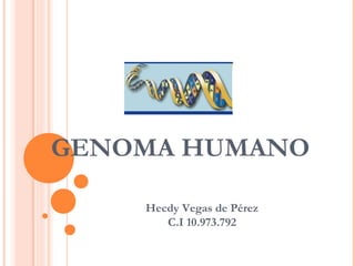 GENOMA HUMANO
Hecdy Vegas de Pérez
C.I 10.973.792
 