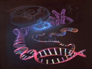 Genoma humano