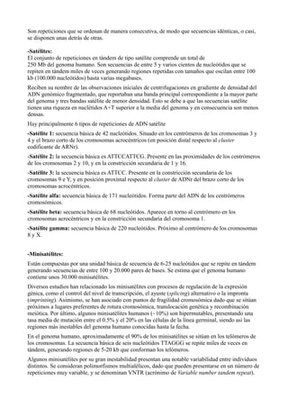 Son repeticiones que se ordenan de manera consecutiva, de modo que secuencias idénticas, o casi,
se disponen unas detrás de otras.
-Satélites:
El conjunto de repeticiones en tándem de tipo satélite comprende un total de
250 Mb del genoma humano. Son secuencias de entre 5 y varios cientos de nucleótidos que se
repiten en tándem miles de veces generando regiones repetidas con tamaños que oscilan entre 100
kb (100.000 nucleótidos) hasta varias megabases.
Reciben su nombre de las observaciones iniciales de centrifugaciones en gradiente de densidad del
ADN genómico fragmentado, que reportaban una banda principal correspondiente a la mayor parte
del genoma y tres bandas satélite de menor densidad. Esto se debe a que las secuencias satélite
tienen una riqueza en nuclétidos A+T superior a la media del genoma y en consecuencia son menos
densas.
Hay principalmente 6 tipos de repeticiones de ADN satélite
-Satélite 1: secuencia básica de 42 nucleótidos. Situado en los centrómeros de los cromosomas 3 y
4 y el brazo corto de los cromosomas acrocéntricos (en posición distal respecto al cluster
codificante de ARNr).
-Satélite 2: la secuencia básica es ATTCCATTCG. Presente en las proximidades de los centrómeros
de los cromosomas 2 y 10, y en la constricción secundaria de 1 y 16.
-Satélite 3: la secuencia básica es ATTCC. Presente en la constricción secundaria de los
cromosomas 9 e Y, y en posición proximal respecto al cluster de ADNr del brazo corto de los
cromosomas acrocéntricos.
-Satélite alfa: secuencia básica de 171 nucleótidos. Forma parte del ADN de los centrómeros
cromosómicos.
-Satélite beta: secuencia básica de 68 nucleótidos. Aparece en torno al centrómero en los
cromosomas acrocéntricos y en la constricción secundaria del cromosoma 1.
-Satélite gamma: secuencia básica de 220 nucleótidos. Próximo al centrómero de los cromosomas
8 y X.
-Minisatélites:
Están compuestas por una unidad básica de secuencia de 6-25 nucleótidos que se repite en tándem
generando secuencias de entre 100 y 20.000 pares de bases. Se estima que el genoma humano
contiene unos 30.000 minisatélites.
Diversos estudios han relacionado los minisatélites con procesos de regulación de la expresión
génica, como el control del nivel de transcripción, el ayuste (splicing) alternativo o la impronta
(imprinting). Asimismo, se han asociado con puntos de fragilidad cromosómica dado que se sitúan
próximos a lugares preferentes de rotura cromosómica, translocación genética y recombinación
meiótica. Por último, algunos minisatélites humanos (~10%) son hipermutables, presentando una
tasa media de mutación entre el 0.5% y el 20% en las células de la línea germinal, siendo así las
regiones más inestables del genoma humano conocidas hasta la fecha.
En el genoma humano, aproximadamente el 90% de los minisatélites se sitúan en los telómeros de
los cromosomas. La secuencia básica de seis nucleótidos TTAGGG se repite miles de veces en
tándem, generando regiones de 5-20 kb que conforman los telómeros.
Algunos minisatélites por su gran inestabilidad presentan una notable variabilidad entre individuos
distintos. Se consideran polimorfismos multialélicos, dado que pueden presentarse en un número de
repeticiones muy variable, y se denominan VNTR (acrónimo de Variable number tandem repeat).

 