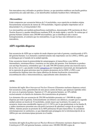 Son marcadores muy utilizados en genética forense, ya que permiten establecer una huella genética
característica de cada individuo, y son identificables mediante Southern blot e hibridación.
-Microsatélites:
Están compuestos por secuencias básicas de 2-4 nucleótidos, cuya repetición en tándem origina
frecuentemente secuencias de menos de 150 nucleótidos. Algunos ejemplos importantes son el
dinucleótido CA y el trinucleótido CAG.
Los microsatélites son también polimorfismos multialélicos, denominados STR (acrónimo de Short
Tandem Repeats) y pueden identificarse mediante PCR, de modo rápido y sencillo. Se estima que el
genoma humano contiene unos 200.000 microsatélites, que se distribuyen más o menos
homogéneamente, al contrario que los minisatélites, lo que los hace más informativos como
marcadores.

ADN repetido disperso
Son secuencias de ADN que se repiten de modo disperso por todo el genoma, constituyendo el 45%
del genoma humano. Los elementos cuantitativamente más importantes son los LINEs y SINEs, que
se distinguen por el tamaño de la unidad repetida.
Estas secuencias tienen la potencialidad de autopropagarse al transcribirse a una ARNm
intermediario, retrotranscribirse e insertarse en otro punto del genoma. Este fenómeno se produce
con una baja frecuencia, estimándose que 1 de cada 100-200 neonatos portan una inserción nueva
de un Alu o un L1, que pueden resultar patogénicos por mutagénesis insercional, por desregulación
de la expresión de genes próximos (por los propios promotores de los SINE y LINE) o por
recombinación ilegítima entre dos copias idénticas de distinta localización cromosómica
(recombinación intra o intercromosómica), especialmente entre elementos Alu.
-SINE:
Acrónimo del inglés Short Interspersed Nuclear Elements (Elementos nucleares dispersos cortos).
Son secuencias cortas, generalmente de unos pocos cientos de bases, que aparecen repetidas miles
de veces en el genoma humano. Suponen el 13% del genoma humano, un 10% debido
exclusivamente a la familia de elementos Alu (característica de primates).
Los elementos Alu son secuencias de 250-280 nucleótidos presentes en 1.500.000 de copias
dispersas por todo el genoma. Estructuralmente son dímeros casi idénticos, excepto que la segunda
unidad contiene un inserto de 32 nucleótidos, siendo mayor que la primera. En cuanto a su
secuencia, tienen una considerable riqueza en G+C (56%), por lo que predominan en las bandas R,
y ambos monómeros presentan una cola poliA (secuencia de adeninas) vestigio de su origen de
ARNm. Además poseen un promotor de la ARN polimerasa III para transcribirse. Se consideran
retrotransposones no autónomos, ya que dependen para propagarse de la retrotranscripción de su
ARNm por una retrotranscriptasa presente en el medio.
-LINE:
Acrónimo del inglés Long Interspersed Nuclear Elements (Elementos nucleares dispersos largos).
Constituyen el 20% del genoma humano, contiene unos 100.000-500.000 copias de

 