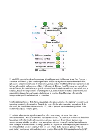El año 1900 marcó el «redescubrimiento de Mendel» por parte de Hugo de Vries, Carl Correns y
Erich von Tschermak, y para 1915 los principios básicos de la genética mendeliana habían sido
aplicados a una amplia variedad de organismos, donde destaca notablemente el caso de la mosca de
la fruta (Drosophila melanogaster). Bajo el liderazgo de Thomas Hunt Morgan y sus compañeros
«drosofilistas», los especialistas en genética desarrollaron la teoría mendeliana-cromosómica de la
herencia, la cual fue ampliamente aceptada para 1925. Paralelamente al trabajo experimental, los
matemáticos desarrollaron el marco estadístico de la genética de poblaciones, y llevaron la
interpretación genética al estudio de la evolución.
Con los patrones básicos de la herencia genética establecidos, muchos biólogos se volvieron hacia
investigaciones sobre la naturaleza física de los genes. En los años cuarenta y a principios de los
cincuenta, los experimentos señalaron al ADN como la parte de los cromosomas (y quizás otras
nucleproteínas) que contenía genes.
El enfoque sobre nuevos organismos modelo tales como virus y bacterias, junto con el
descubrimiento en 1953 de la estructura en doble hélice del ADN, marcaron la transición a la era de
la genética molecular. En los años siguientes, algunos químicos desarrollaron técnicas para
secuenciar tanto a ácidos nucleicos como a proteínas, mientras otros solventaban la relación entre
estos dos tipos de biomoléculas: el código genético. La regulación de la expresión génica se volvió
un tema central en los años sesenta, y para los años setenta dicha expresión génica podía ser
controlada y manipulada utilizando ingeniería genética. Durante lás últimas décadas del siglo XX

 