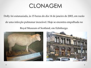 Dolly foi eutanasiada, às 15 horas do dia 14 de janeiro de 2003, em razão
de uma infecção pulmonar incurável. Hoje se encontra empalhada no
Royal Museum of Scotland, em Edinburgo.
CLONAGEM
 