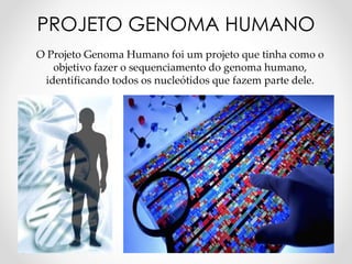 O Projeto Genoma Humano foi um projeto que tinha como o
objetivo fazer o sequenciamento do genoma humano,
identificando todos os nucleótidos que fazem parte dele.
PROJETO GENOMA HUMANO
 