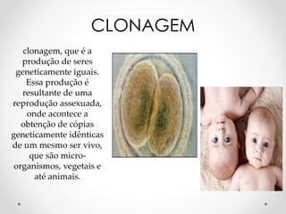 clonagem, que é a
produção de seres
geneticamente iguais.
Essa produção é
resultante de uma
reprodução assexuada,
onde acontece a
obtenção de cópias
geneticamente idênticas
de um mesmo ser vivo,
que são micro-
organismos, vegetais e
até animais.
CLONAGEM
 