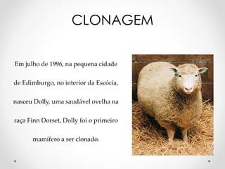 CLONAGEM
Em julho de 1996, na pequena cidade
de Edimburgo, no interior da Escócia,
nasceu Dolly, uma saudável ovelha na
raça Finn Dorset, Dolly foi o primeiro
mamífero a ser clonado.
 