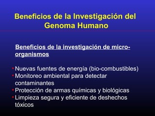 Beneficios de la Investigación del
Genoma Humano
Beneficios de la investigación de micro-
organismos
• Nuevas fuentes de energía (bio-combustibles)
• Monitoreo ambiental para detectar
contaminantes
• Protección de armas químicas y biológicas
• Limpieza segura y eficiente de deshechos
tóxicos
 